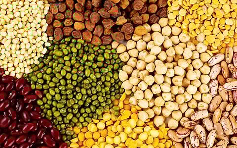 Pulses Rate : तूरडाळ, हरभरा डाळींचे दर घसरल्याने दिलासा...तूर डाळ २० रुपये, हरभरा, मूग डाळ सहा ते सात रुपयांनी स्वस्त