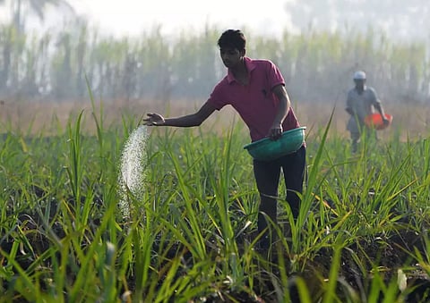नंदुरबार जिल्ह्यात शेतकऱ्यांची पिके वाचविण्यासाठी कसरत