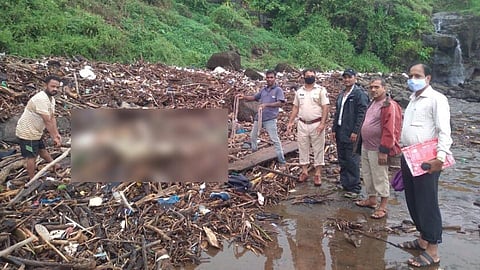 वेळास-साखरी समुद्र किनाऱ्यावर अज्ञात व्यक्तीचा मृतदेह