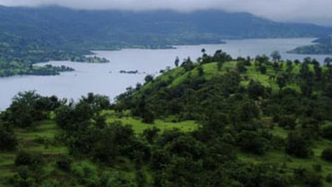 Koyna River