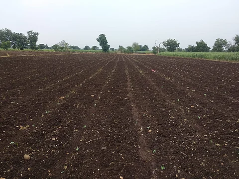 farm