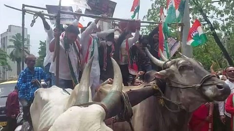 मोर्चात काँग्रेस नेते, कार्यकर्ते बैलगाडीवरुन खाली पडले, अँटॉप हिल मधील घटना