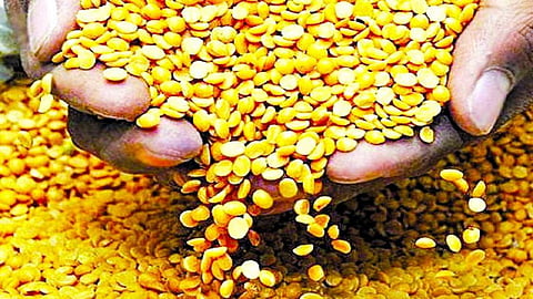 डाळींचे चढे भाव कोरोनाकाळात टिकून! व्यापाऱ्यांची नाराजी