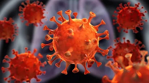 Coronavirus