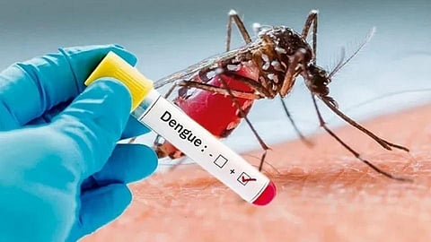 Dengue Infection