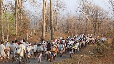 आदिवासींसाठी स्वतंत्र कॉलम करावा; बिरसा फायटर्सची मागणी