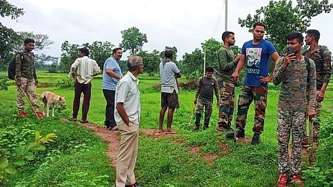 गोंदिया : वाघ आला, वाघ आला, पळापळा! गोरेगाव वनबिटात दहशत