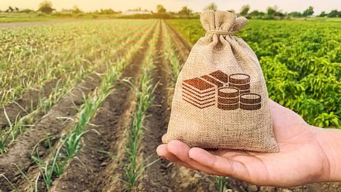 Agriculture Loan