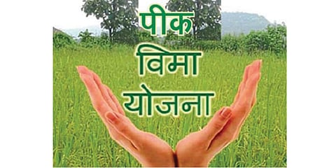 Crop Insurance Scheme