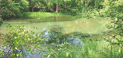 शेती करणे हाच ठरतोय शेतकऱ्यांचा गुन्हा! मूलभूत सुविधाच नाही