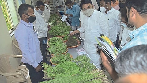 रानभाज्यांची माहिती लोकांपर्यंत पोहोचवा; विश्वजित कदम