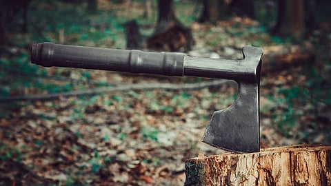 वृक्षतोडीबद्दल केला चाळीस कोटींचा दंड; कोलकाता हायकोर्टाचा महत्त्वपूर्ण निर्णय