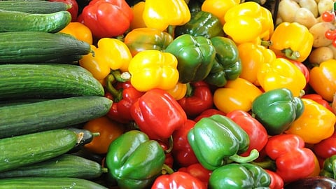 भाजीपाला