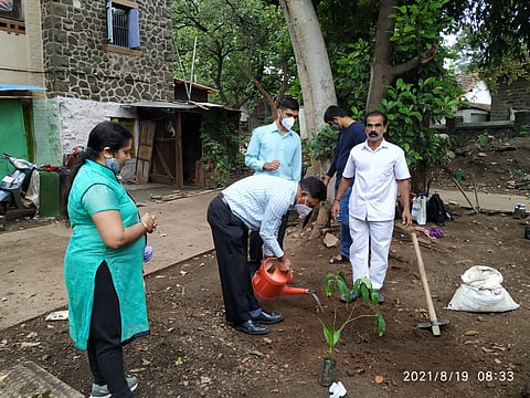 वृक्षारोपण मोहीम
