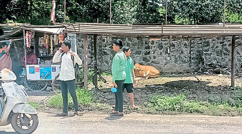 PMPML : खंडित बससेवेमुळे आर्थिक भुर्दंड