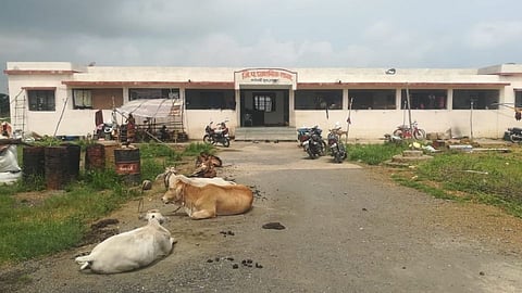 गोसेखुर्द प्रकल्प वरदान नाही, आमच्यासाठी शापच! नागरिकांची खंत