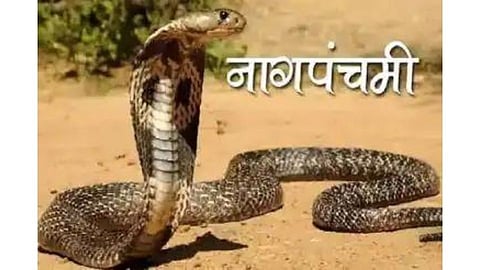Nagpanchami