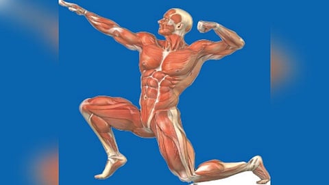 हेल्दी फूड