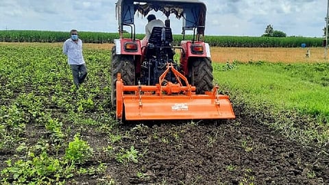 जेवळी (जि.उस्मानाबाद) - दहा एकर क्षेत्रावर जुलैच्या पहिल्या आठवड्यात उडीदाची पेरणी केली होती. पेरणीनंतर पावसाने एक महिना हुलकावणी दिल्याने वाढ खुंटण्याबरोबरच फळधारणा अत्यंत कमी प्रमाणात झाली आहे. यातून राशीचा खर्चही निघणार नसल्याने संपूर्ण दहा एकर उडीद पिकावरती शेतकऱ्याला रोटाव्हेटर मारावे लागले.