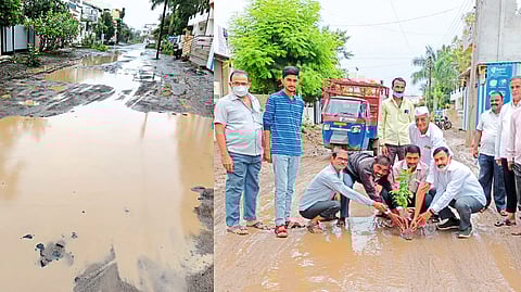 Peoples planting trees in potholes using Gandhigiri