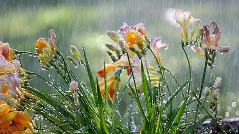 rain updates