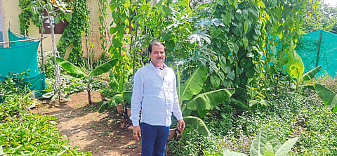 ‘श्रीकृष्ण’ राहतात आयुर्वेदिक वेलींच्या छायेत