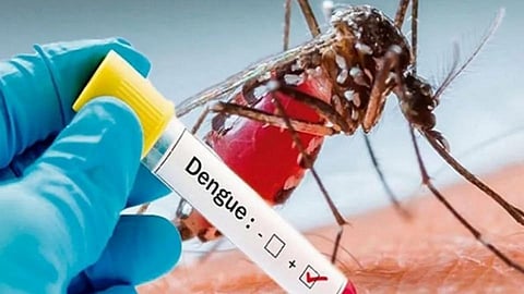 health news Mumbai alert Increase in Dengue Lepto patients within week bjp