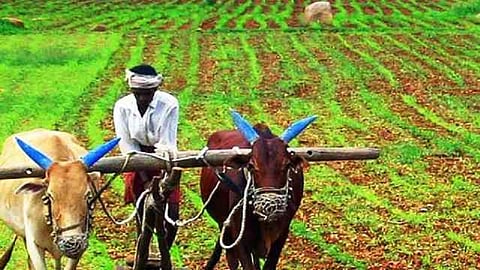 this monsoon not beneficial for farmers water crisis crop rain jalna marathwada