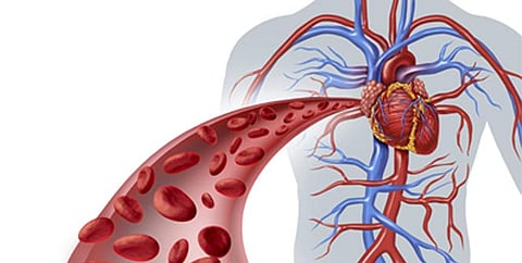 रक्ताभिसरण नीट आहे? कोणी घ्यावी काळजी अन् कसा असावा आहार