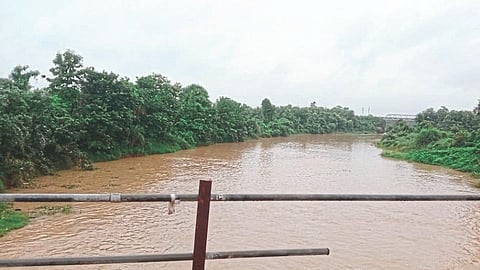 प्रदूषणाच्या कचाट्यात पांगोली पांगळी! पुराचा धोका वाढला