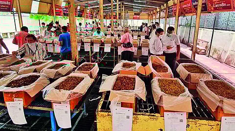 सणासुदीच्या तोंडावर भेसळखोरीचा धोका