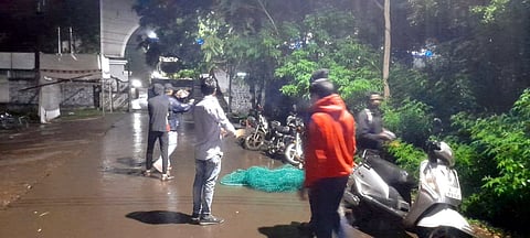 सातारा: जिल्हाधिकारी कार्यालयाच्या आवारात बिबट्या