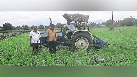 Nashik : सात एकर कोबीवर रोटर