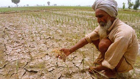 Congress party also to directly inspect drought situation (file photo)