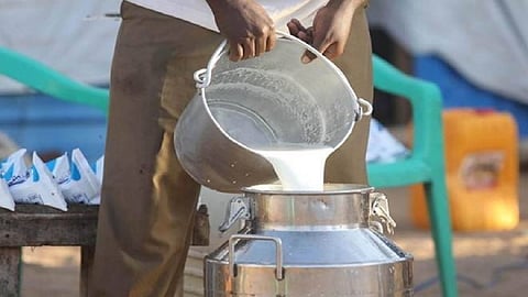 milk