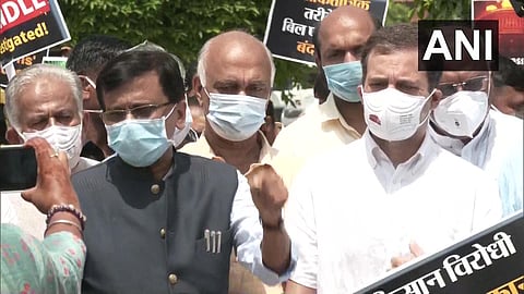 rahul gandhi sanjay raut