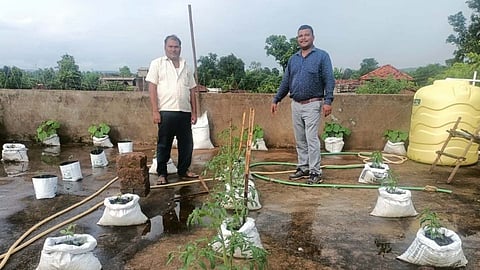 सरपंचांनी घरावर फुलविली भाजीपाला शेती; जोपासला शेतीचा छंद