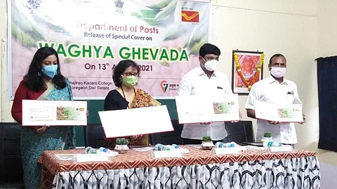 वाघा घेवड्याचा गौरव; पोस्टाच्या तिकीटावर दिसणार