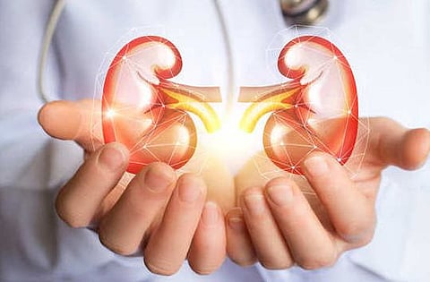 मुलीला किडनी दान करून आईने दिले जीवदान