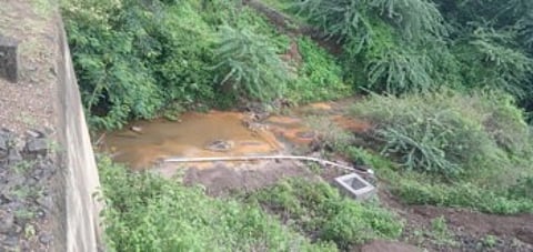 पांझरा नदीलगत नाल्यात विषारी रसायन..गावकऱ्यांमध्ये भिती