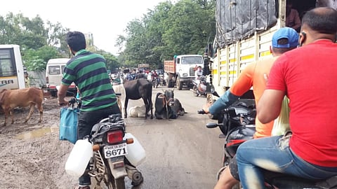 वाहतूक कोंडी