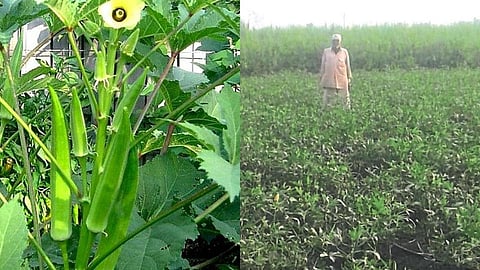 Farmer Navnath Jadhav