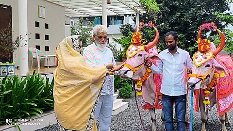 agriculture minister dada bhuse bail pola festival malegaon