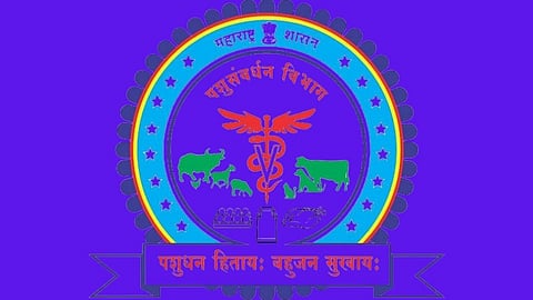 अमरावती : मेळघाटातील पशुधन वाऱ्यावर; १३ जागा रिक्त