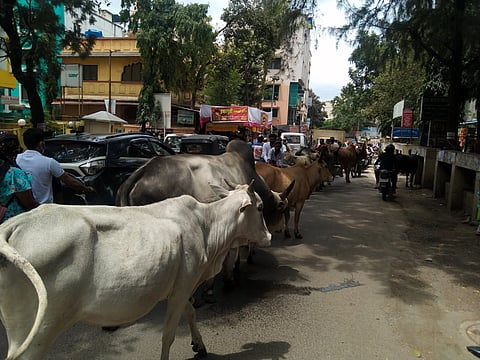 जनानारांचा त्रास