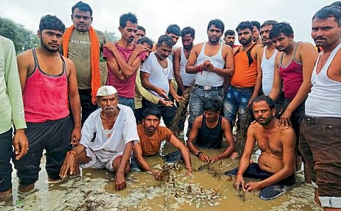 Akola : सोयाबीन पाण्यात; रक्कम कंपनीच्या तिजोरीत, शेतकऱ्यांच्या हाती भोपळा