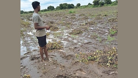 पावसाने दिली आधी ओढ, आता पुराने वाहून नेले! खरिपाची पिके पाण्यात