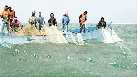 ....तर मच्छीमारी सहकारी संस्था काळ्या यादीत