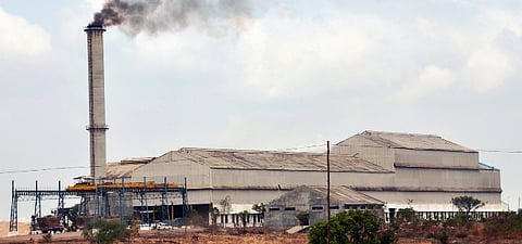siddi shugar
