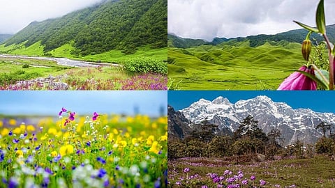 Valley of Flowers
